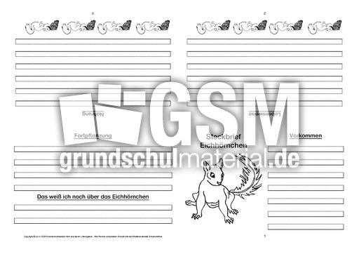 Eichhörnchen-Faltbuch-vierseitig-9.pdf